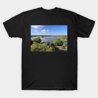 Florida Everglades T-Shirt